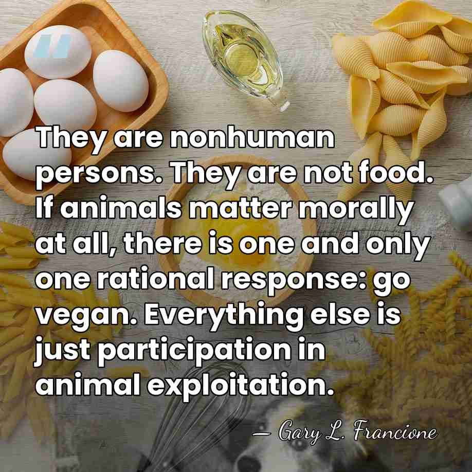 They are nonhuman persons. They are not food. If animals matter morally&hellip; - Gary L. Francione