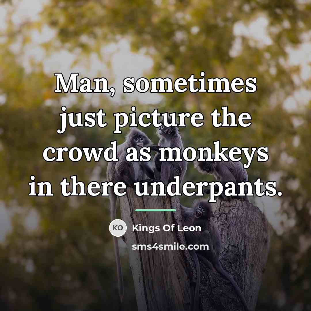 “Man, sometimes just picture the crowd as monkeys in there…” quote by Kings Of Leon