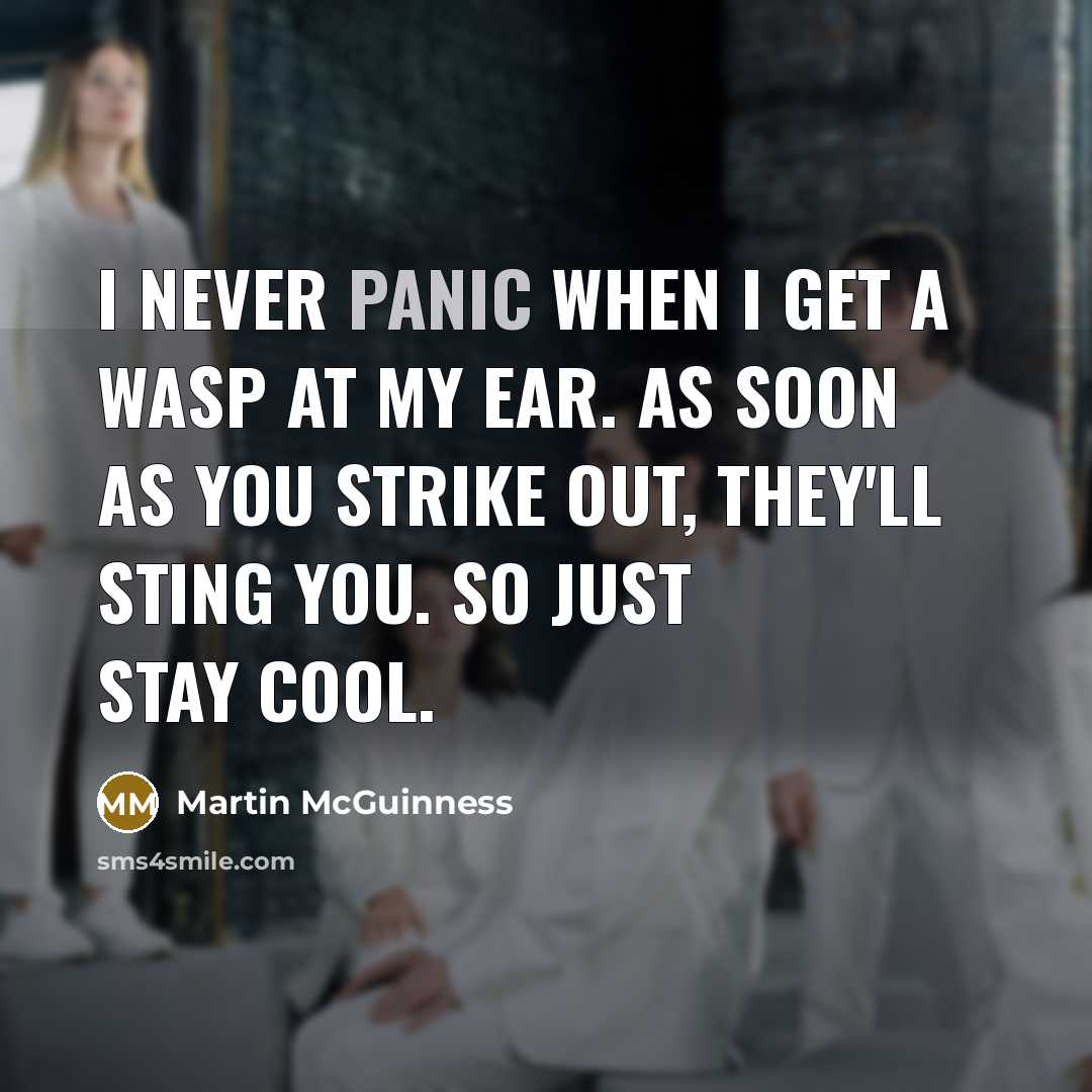 “I never panic when I get a wasp at my…” quote by Martin McGuinness