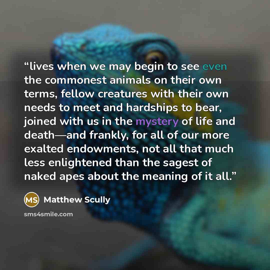 “lives when we may begin to see even the commonest animals on their own terms, fellow creatures with their own needs to meet and hardships to bear, joined with us in the mystery of life and death—and frankly, for all of our more exalted endowments, not all that much less enlightened than the sagest…” quote by Matthew Scully