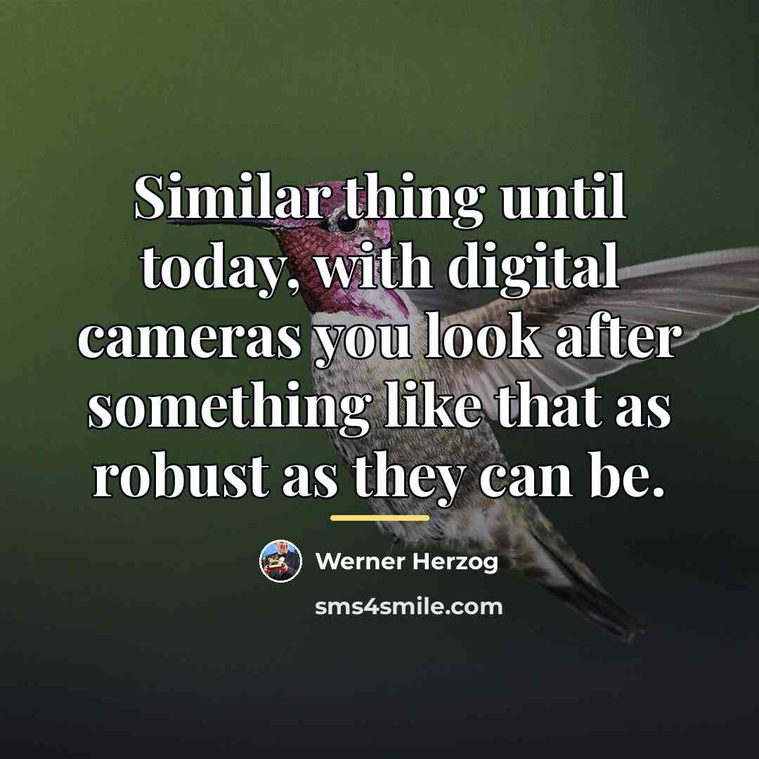 “Similar thing until today, with digital cameras you look after…” quote by Werner Herzog