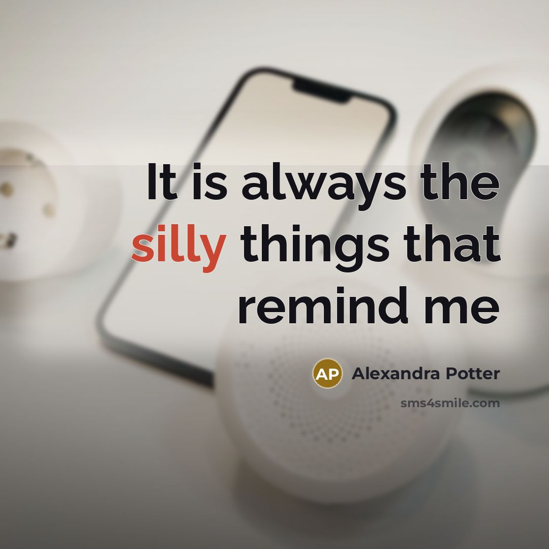 “It is always the silly things that remind me” quote by Alexandra Potter