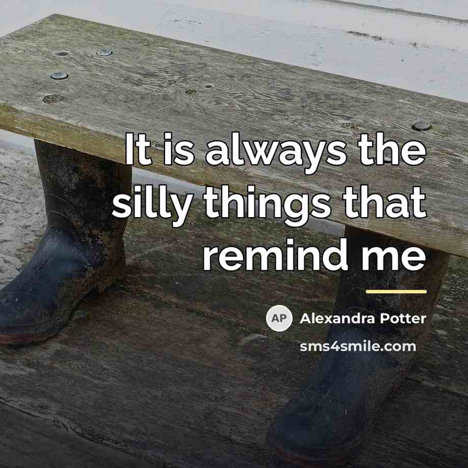 “It is always the silly things that remind me…” quote by Alexandra Potter