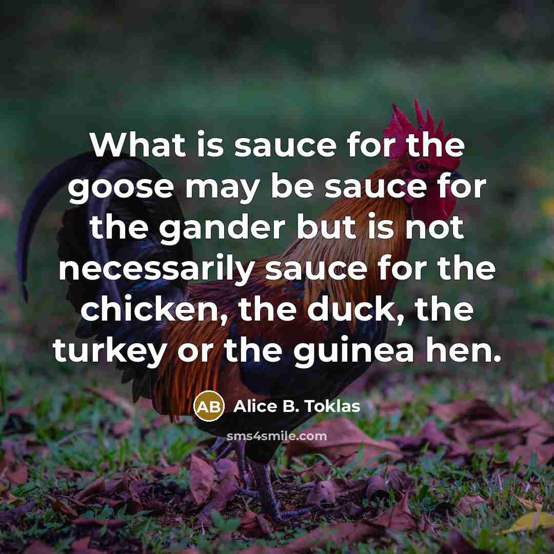 “What is sauce for the goose may be sauce for…” quote by Alice B. Toklas