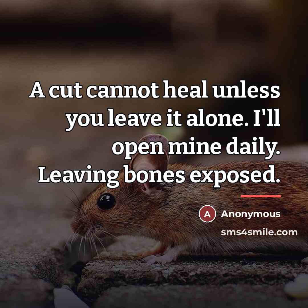 “A cut cannot heal unless you leave it alone. I'll…” quote by Anonymous