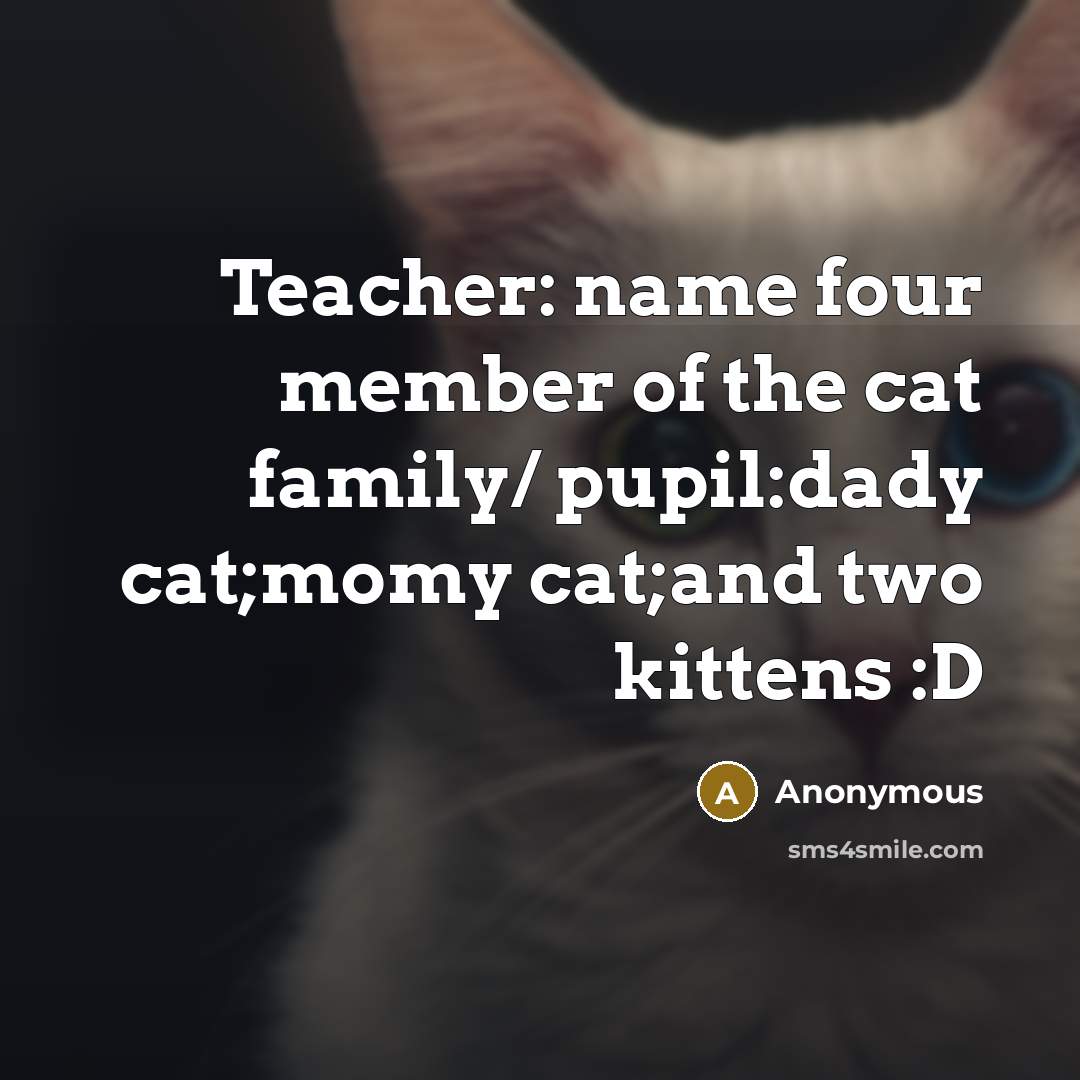 “Teacher: name four member of the cat family/ pupil:dady cat;momy cat;and two kittens :D” quote by Anonymous