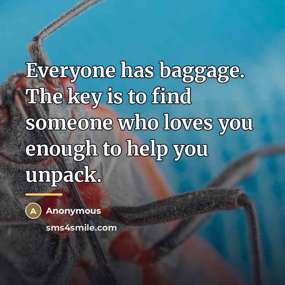 “Everyone has baggage. The key is to find someone who…” quote by Anonymous