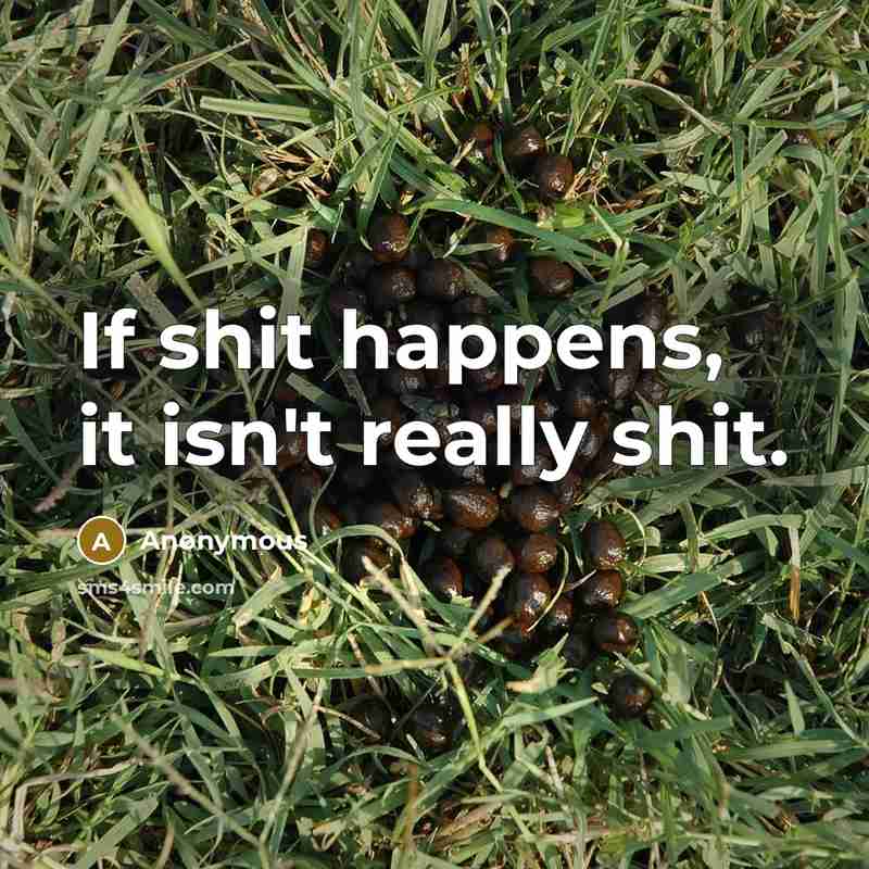“If shit happens, it isn't really shit.…” quote by Anonymous