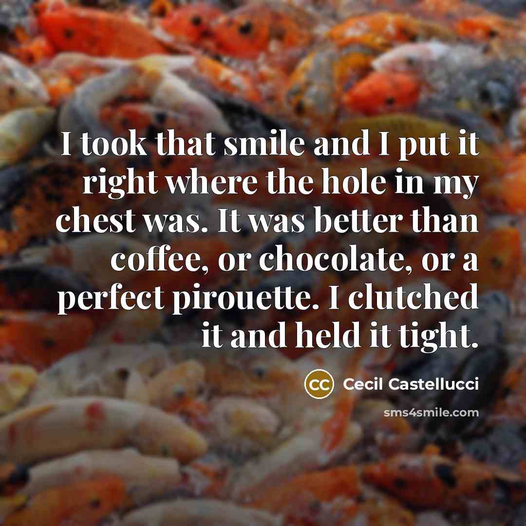 “I took that smile and I put it right where…” quote by Cecil Castellucci