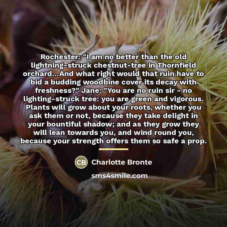 “Rochester: "I am no better than the old lightning-struck chestnut-tree…” quote by Charlotte Bronte