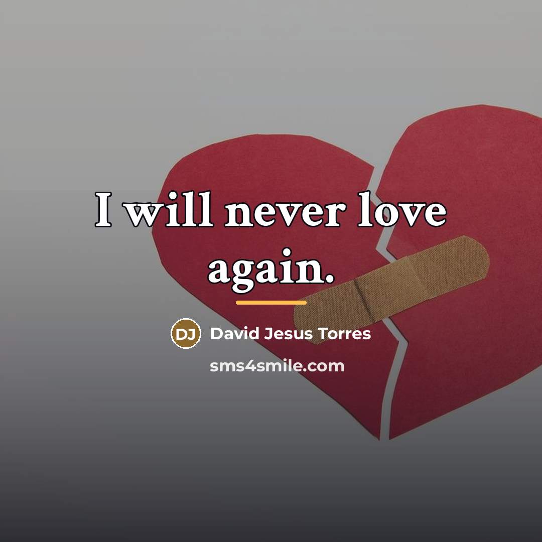 “I will never love again.…” quote by David Jesus Torres