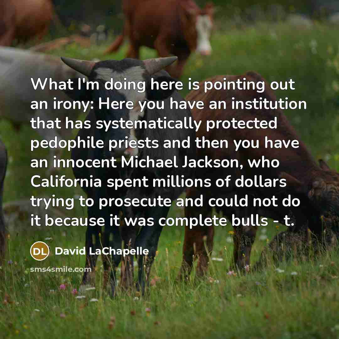 “What I'm doing here is pointing out an irony: Here…” quote by David LaChapelle