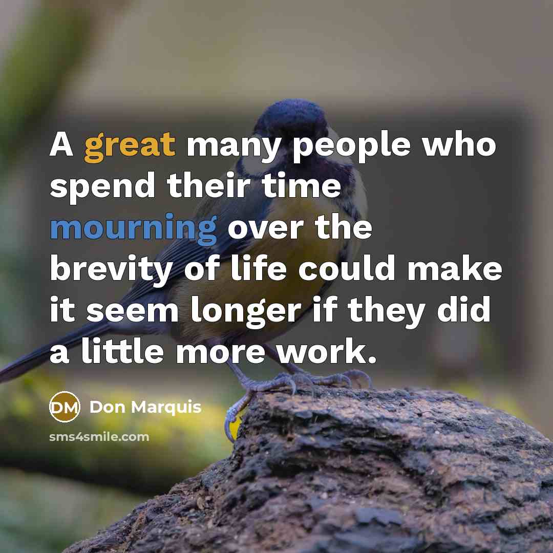 “A great many people who spend their time mourning over…” quote by Don Marquis