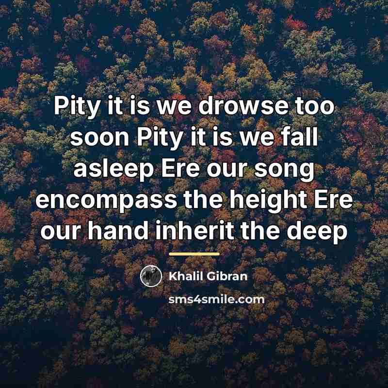 “Pity it is we drowse too soon Pity it is…” quote by Khalil Gibran