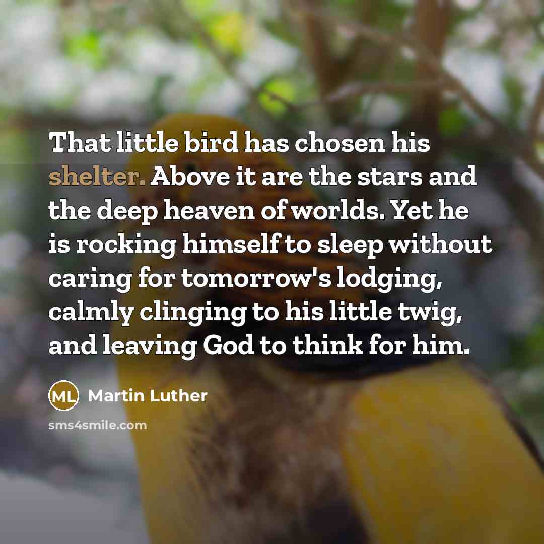 “That little bird has chosen his shelter. Above it are…” quote by Martin Luther