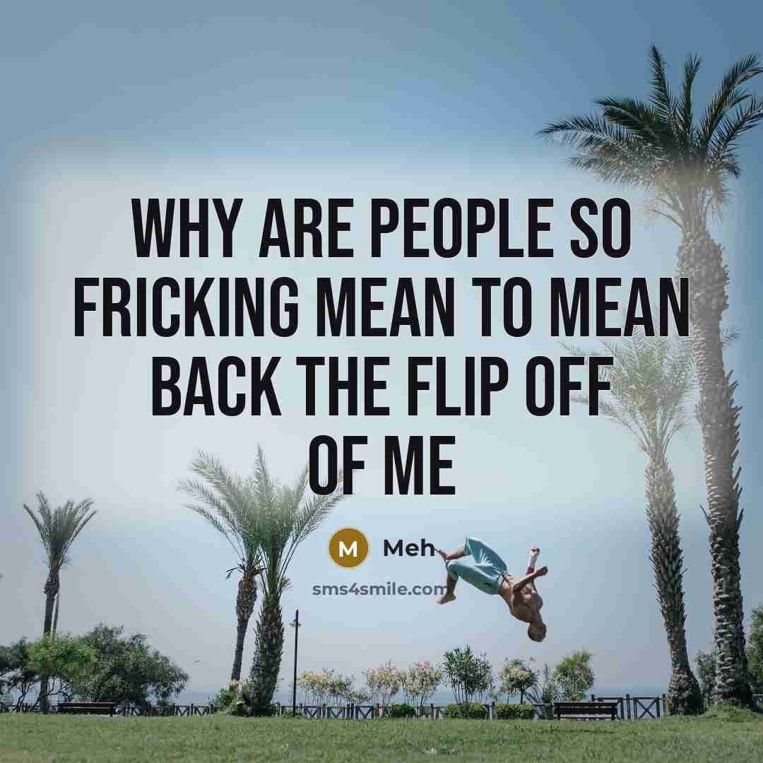“Why are people so fricking mean to mean back the flip off of me” quote by Meh