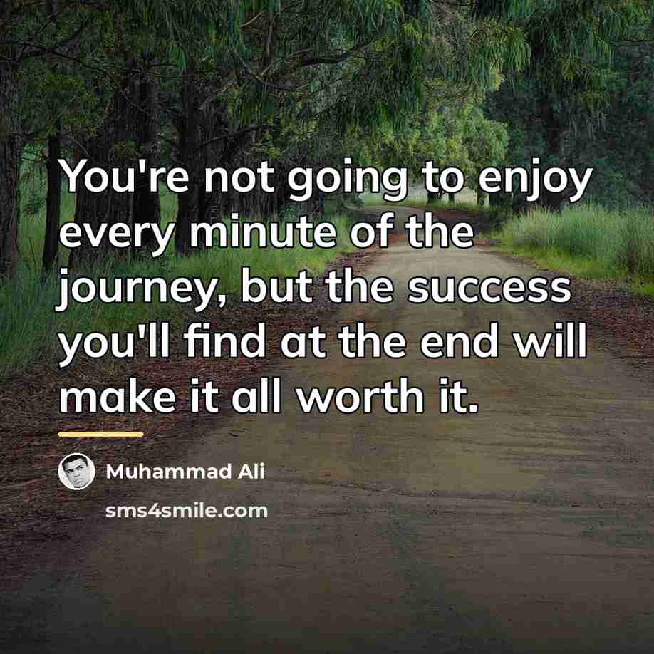 “You're not going to enjoy every minute of the journey,…” quote by Muhammad Ali