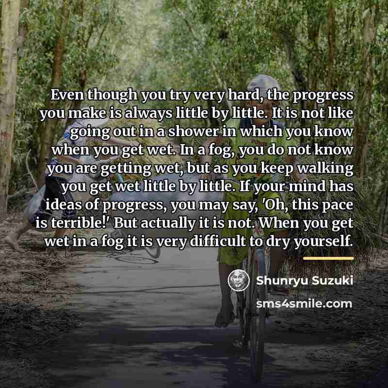 “Even though you try very hard, the progress you make…” quote by Shunryu Suzuki