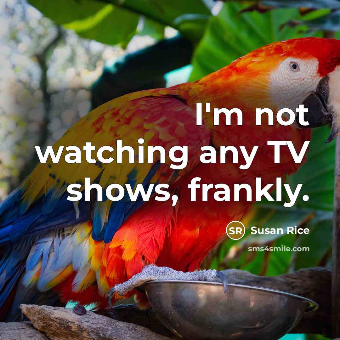 “I'm not watching any TV shows, frankly.…” quote by Susan Rice
