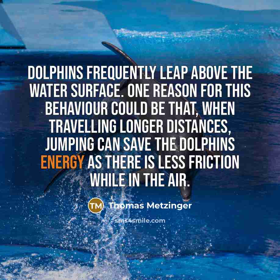 “Dolphins frequently leap above the water surface. One reason for…” quote by Thomas Metzinger