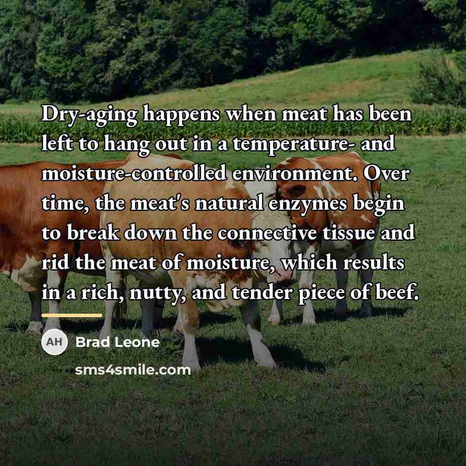 “Dry-aging happens when meat has been left to hang out…” quote by Brad Leone