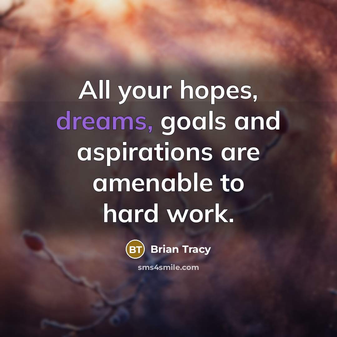 “All your hopes, dreams, goals and aspirations are amenable to…” quote by Brian Tracy