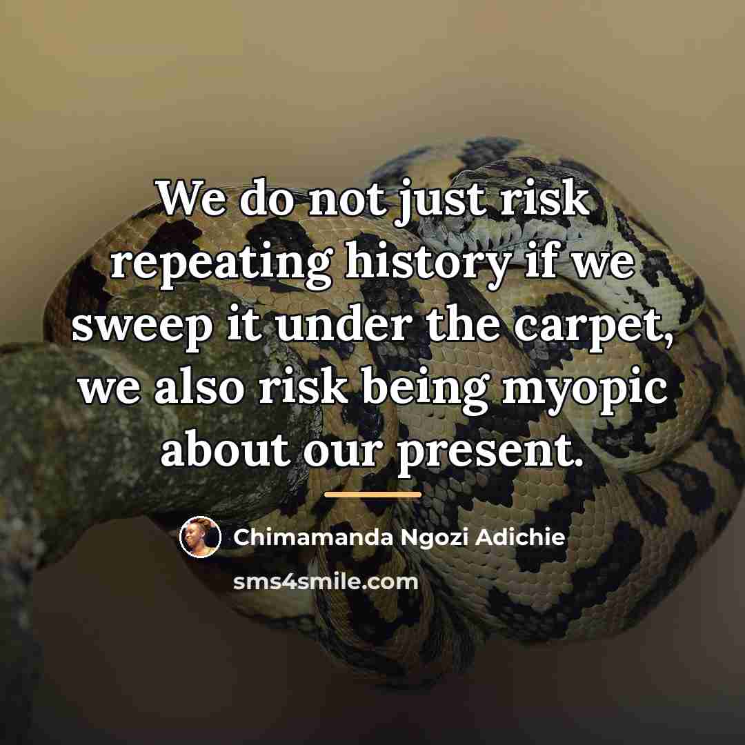 “We do not just risk repeating history if we sweep…” quote by Chimamanda Ngozi Adichie