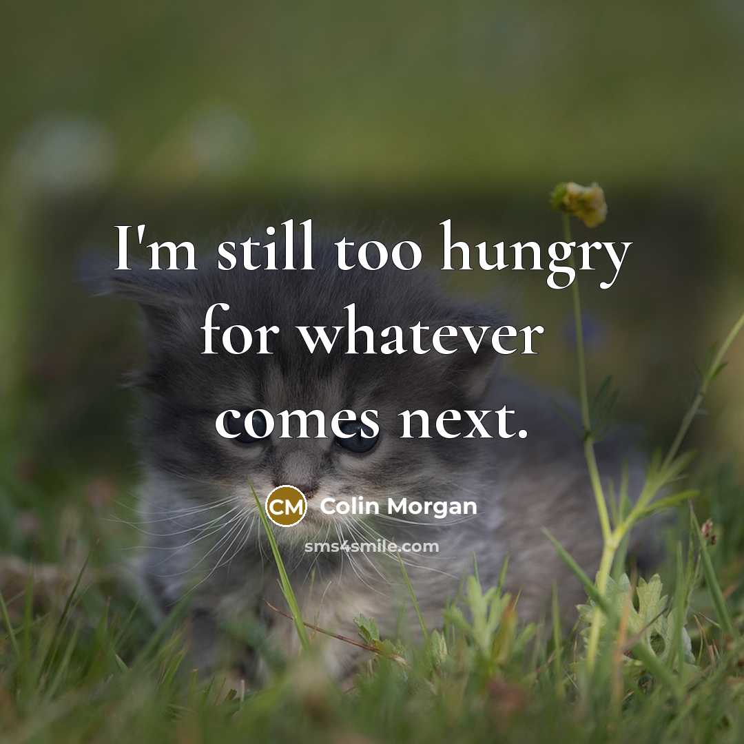 “I'm still too hungry for whatever comes next.…” quote by Colin Morgan