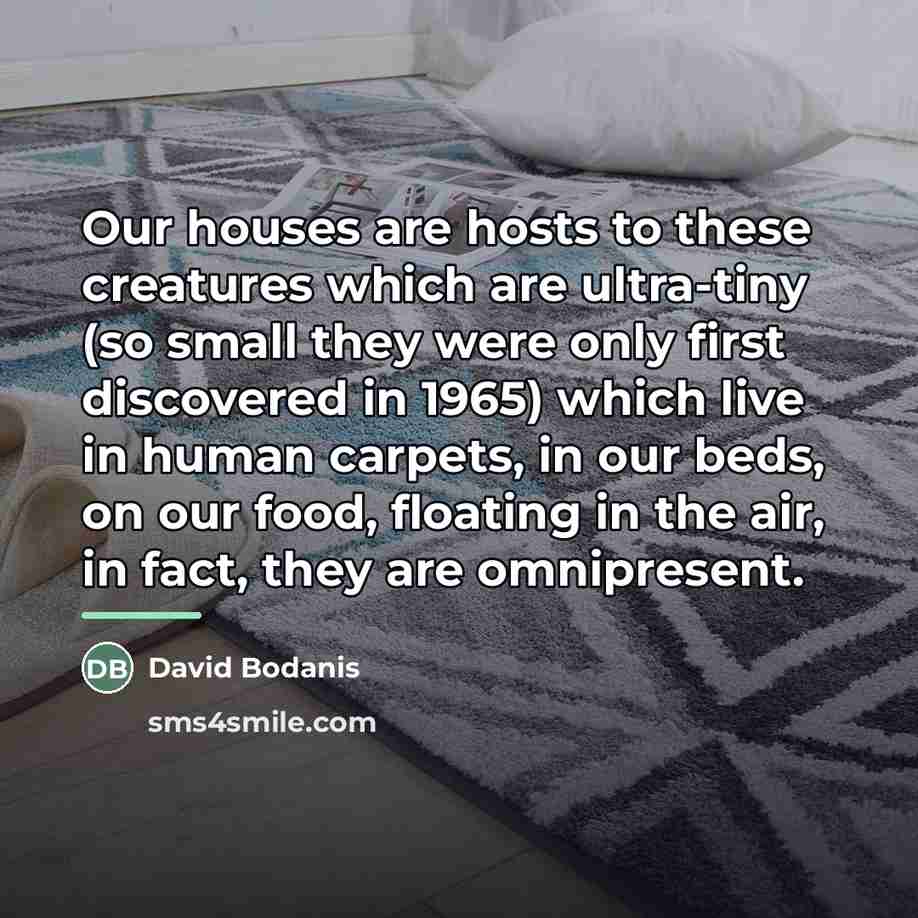 “Our houses are hosts to these creatures which are ultra-tiny…” quote by David Bodanis