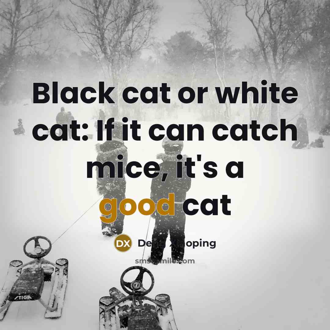 “Black cat or white cat: If it can catch mice,…” quote by Deng Xiaoping