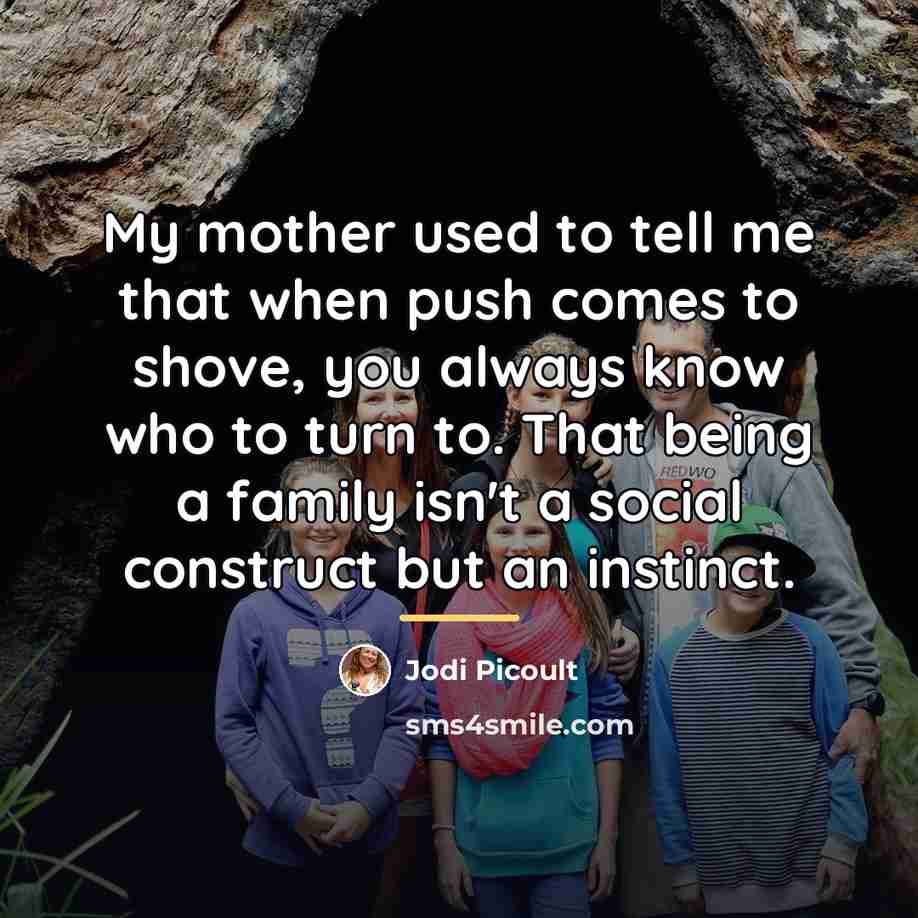 “My mother used to tell me that when push comes…” quote by Jodi Picoult