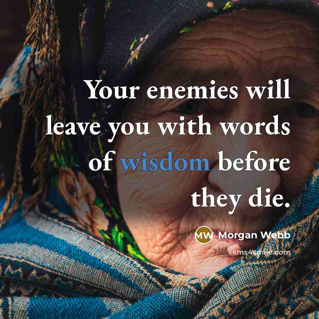 “Your enemies will leave you with words of wisdom before…” quote by Morgan Webb