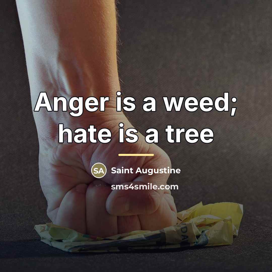 “Anger is a weed; hate is a tree…” quote by Saint Augustine