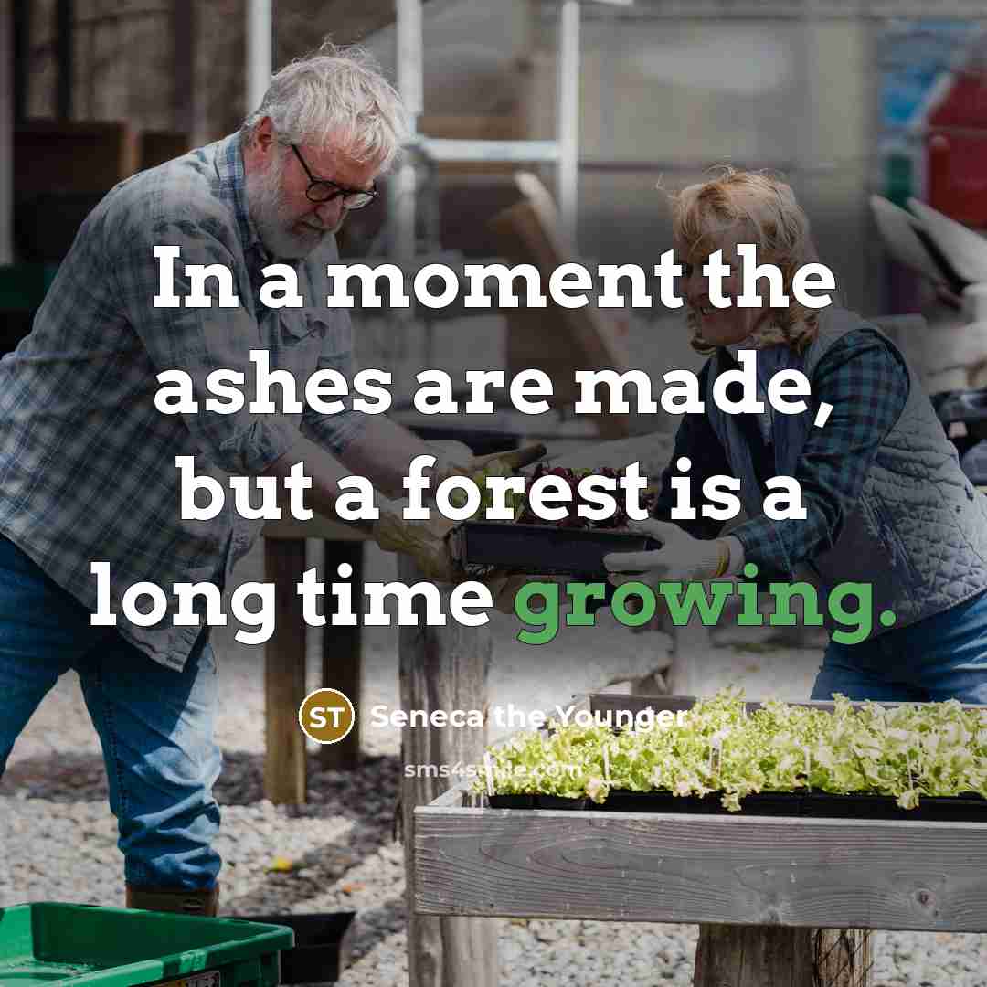“In a moment the ashes are made, but a forest…” quote by Seneca the Younger