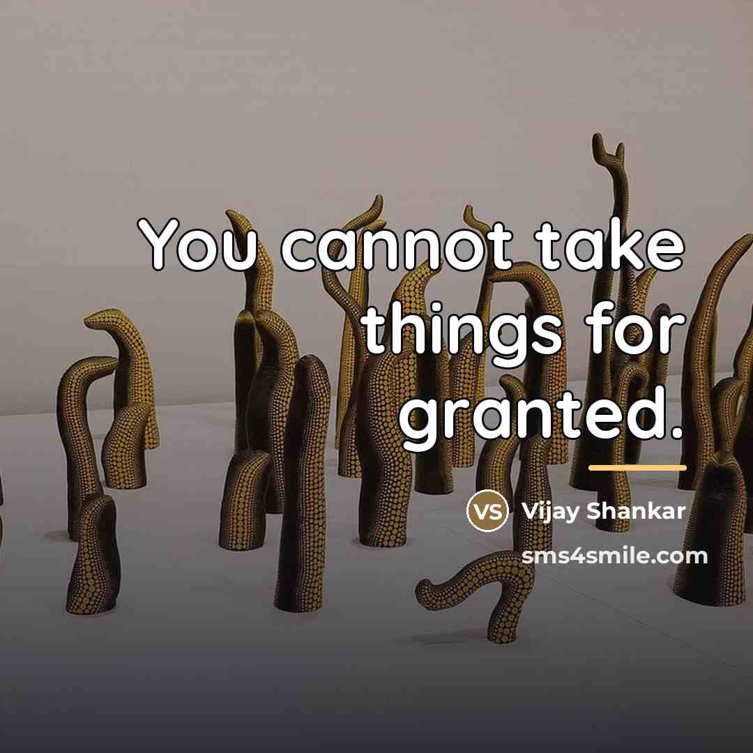 “You cannot take things for granted.…” quote by Vijay Shankar
