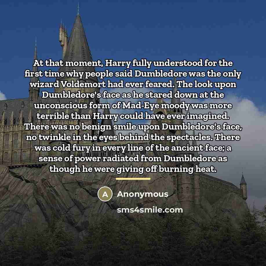 “At that moment, Harry fully understood for the first time…” quote by Anonymous