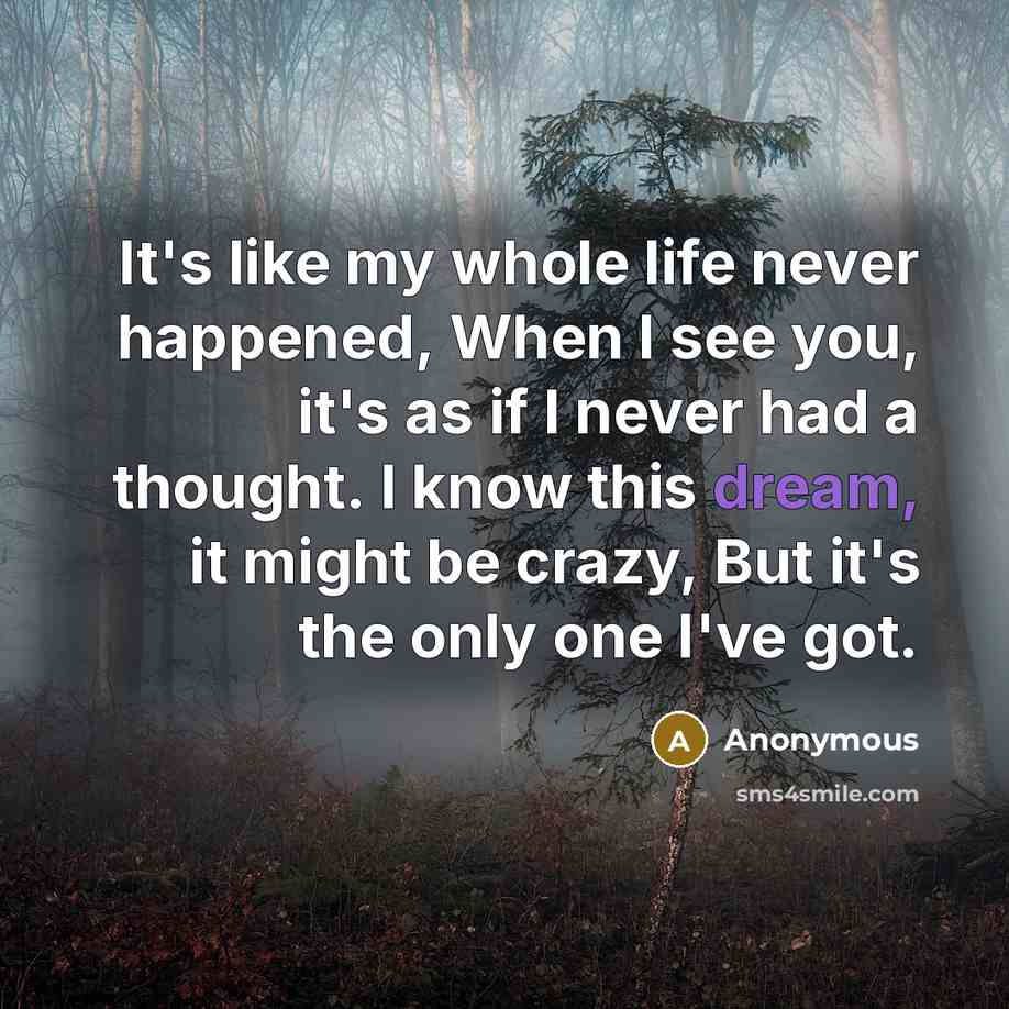 “It's like my whole life never happened, When I see…” quote by Anonymous