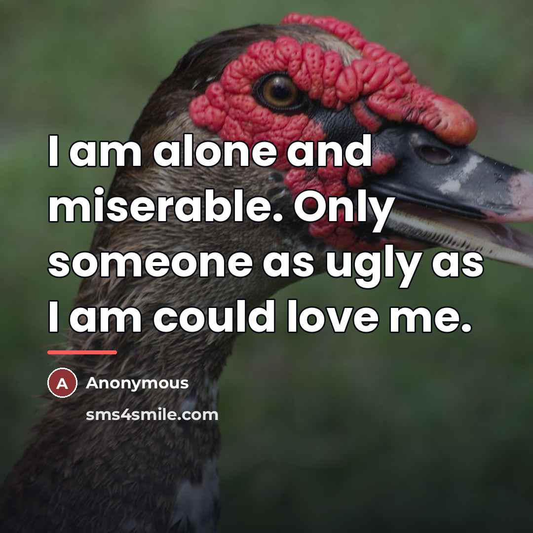 “I am alone and miserable. Only someone as ugly as…” quote by Anonymous