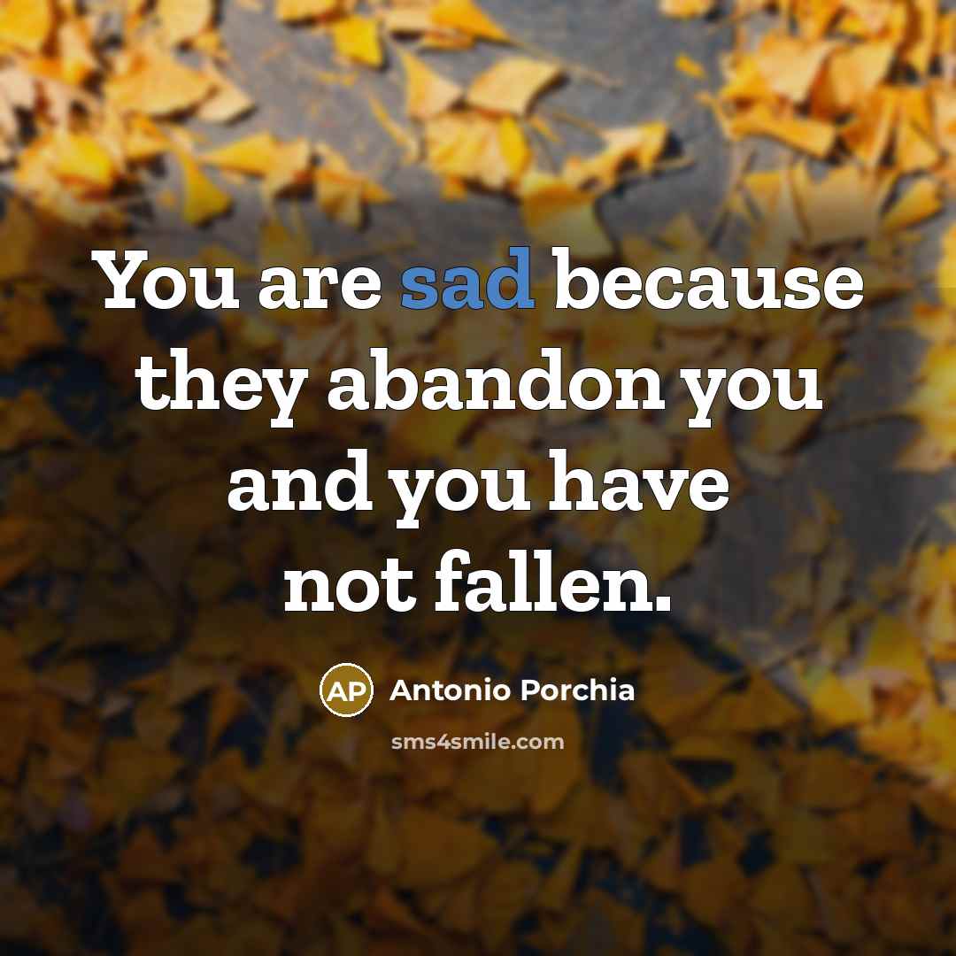 “You are sad because they abandon you and you have…” quote by Antonio Porchia