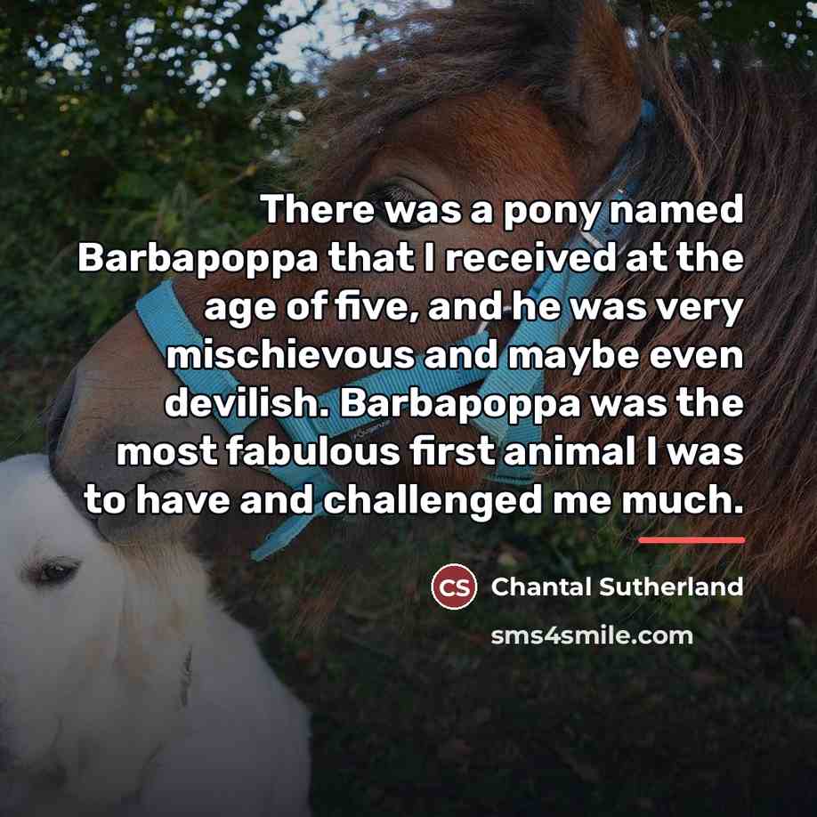 “There was a pony named Barbapoppa that I received at…” quote by Chantal Sutherland
