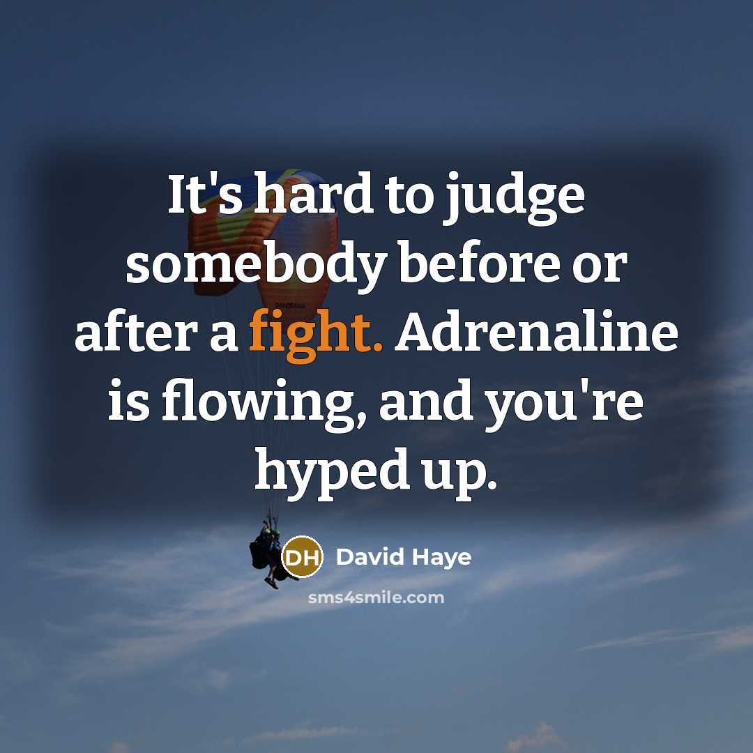 “It's hard to judge somebody before or after a fight.…” quote by David Haye