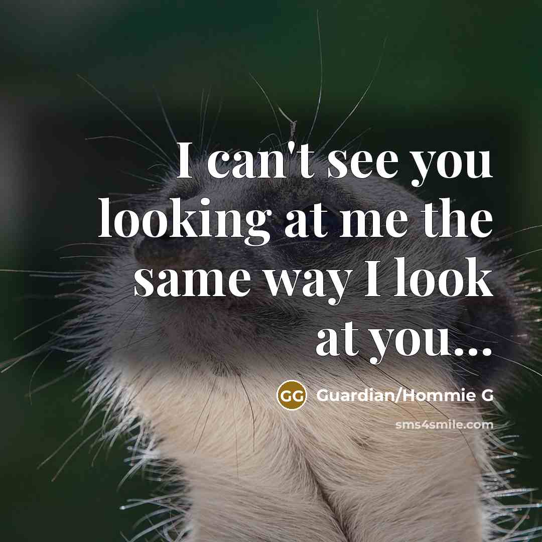 “I can't see you looking at me the same way…” quote by Guardian/Hommie G
