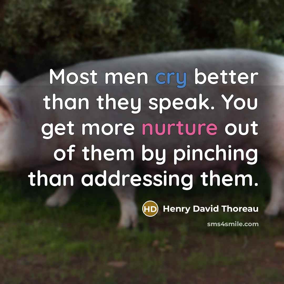 “Most men cry better than they speak. You get more…” quote by Henry David Thoreau