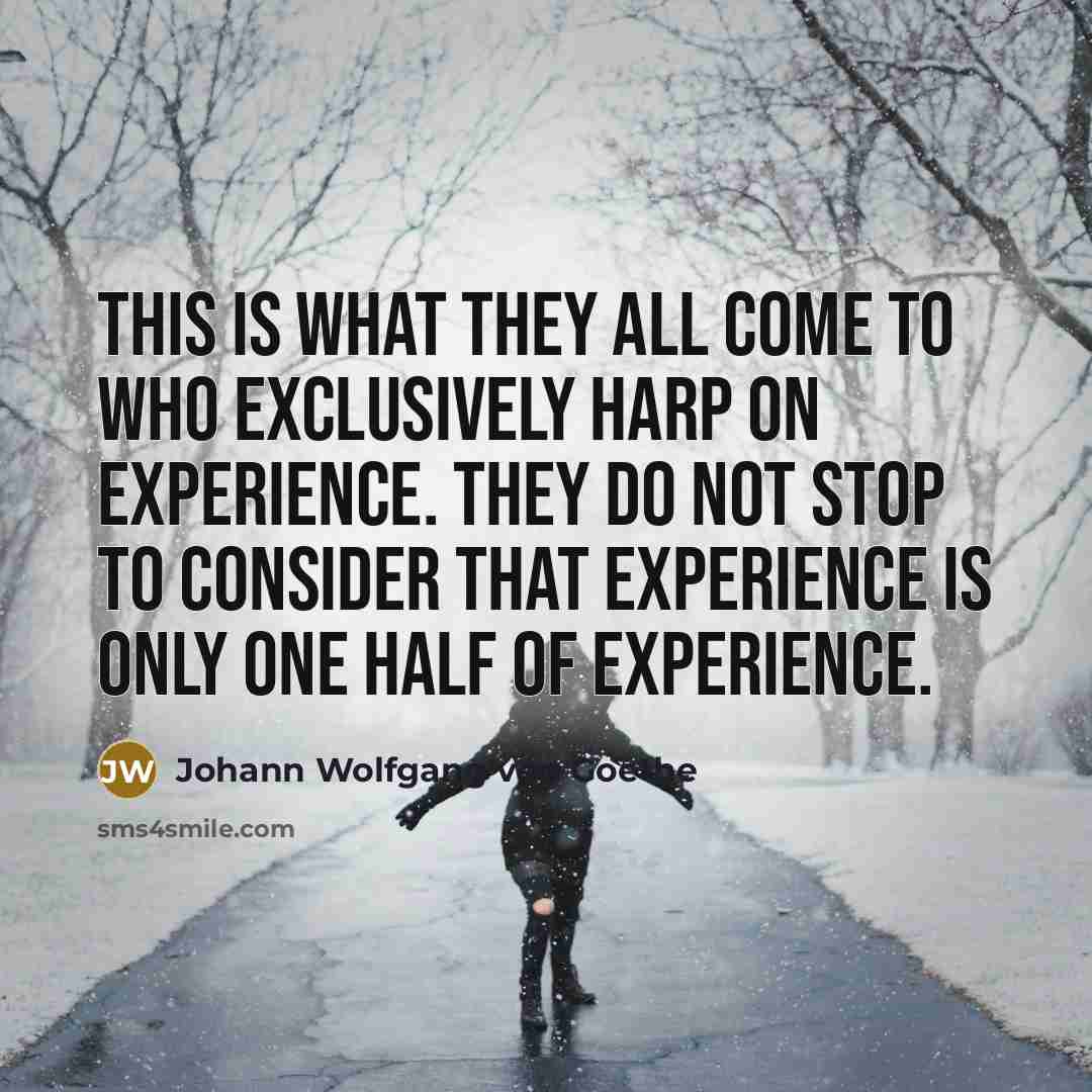 “This is what they all come to who exclusively harp…” quote by Johann Wolfgang von Goethe
