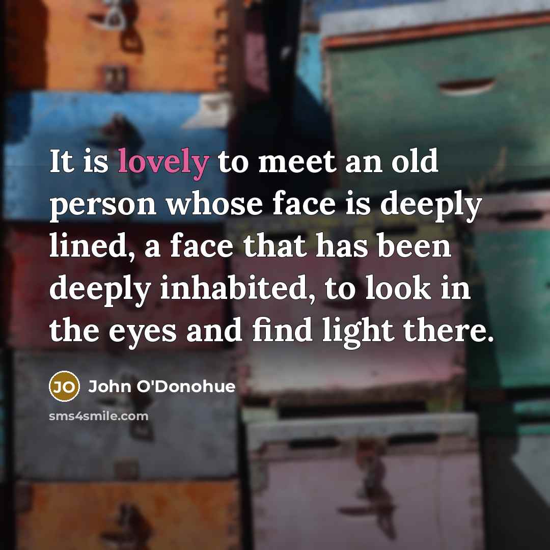 “It is lovely to meet an old person whose face…” quote by John O'Donohue