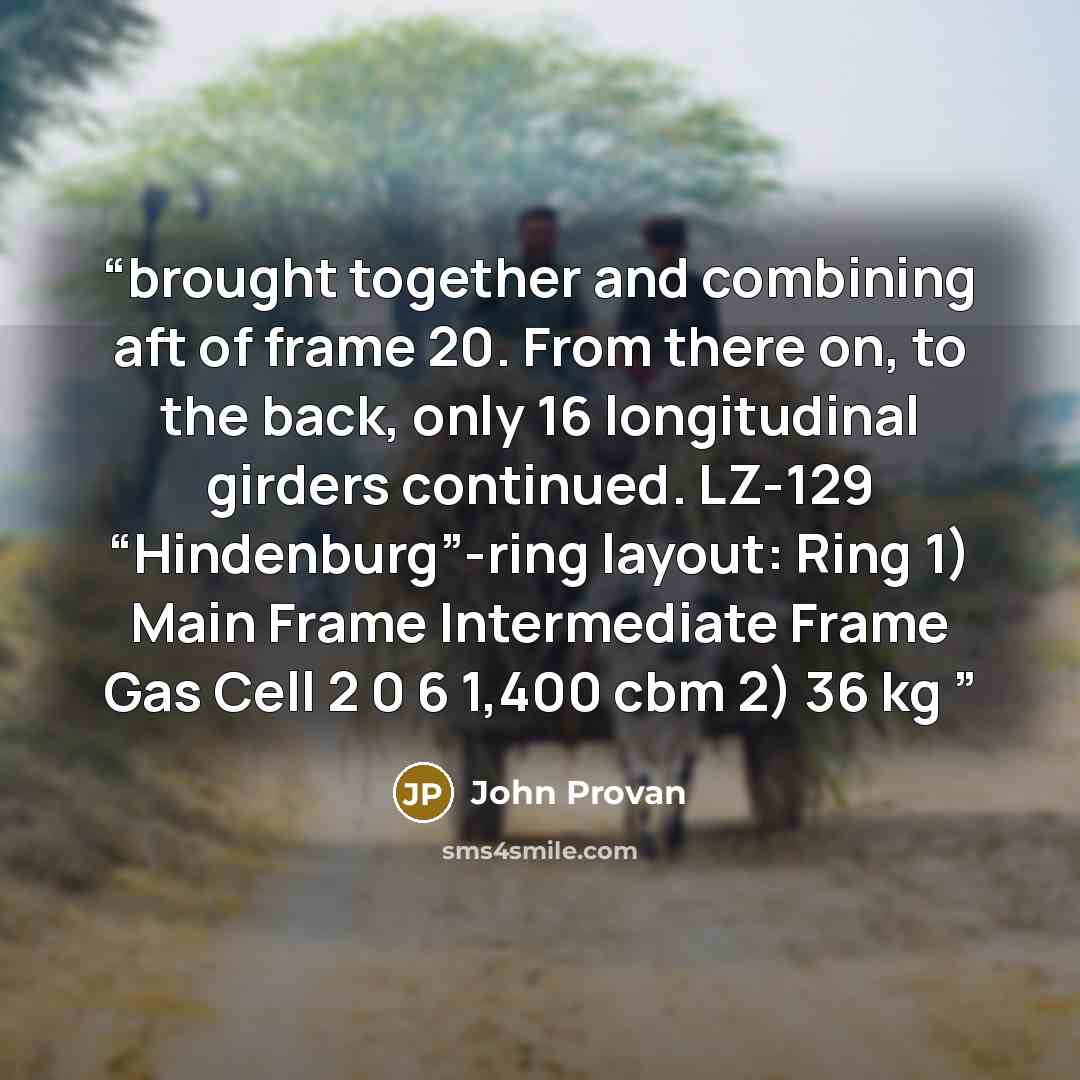 “brought together and combining aft of frame 20. From there on, to the back, only 16 longitudinal girders continued. LZ-129 “Hindenburg”-ring layout: Ring 1) Main Frame Intermediate Frame Gas Cell 2 0 6 1,400 cbm 2) 36 kg” quote by John Provan