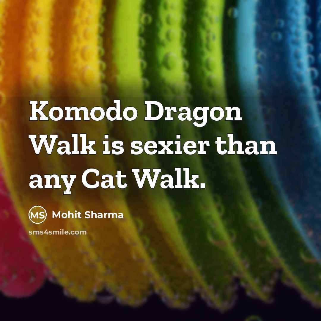 “Komodo Dragon Walk is sexier than any Cat Walk.…” quote by Mohit Sharma