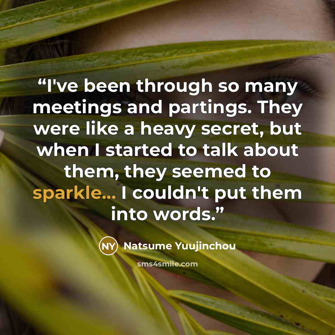 “I've been through so many meetings and partings. They were like a heavy secret, but when I started to talk about them, they seemed to sparkle... I couldn't put them into words.” quote by Natsume Yuujinchou