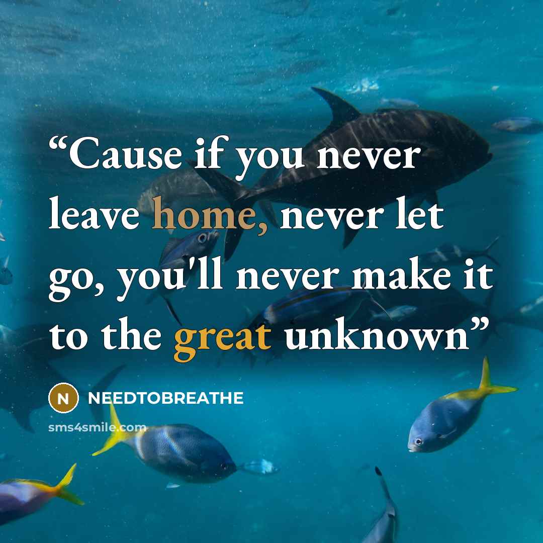 “Cause if you never leave home, never let go, you'll never make it to the great unknown” quote by NEEDTOBREATHE