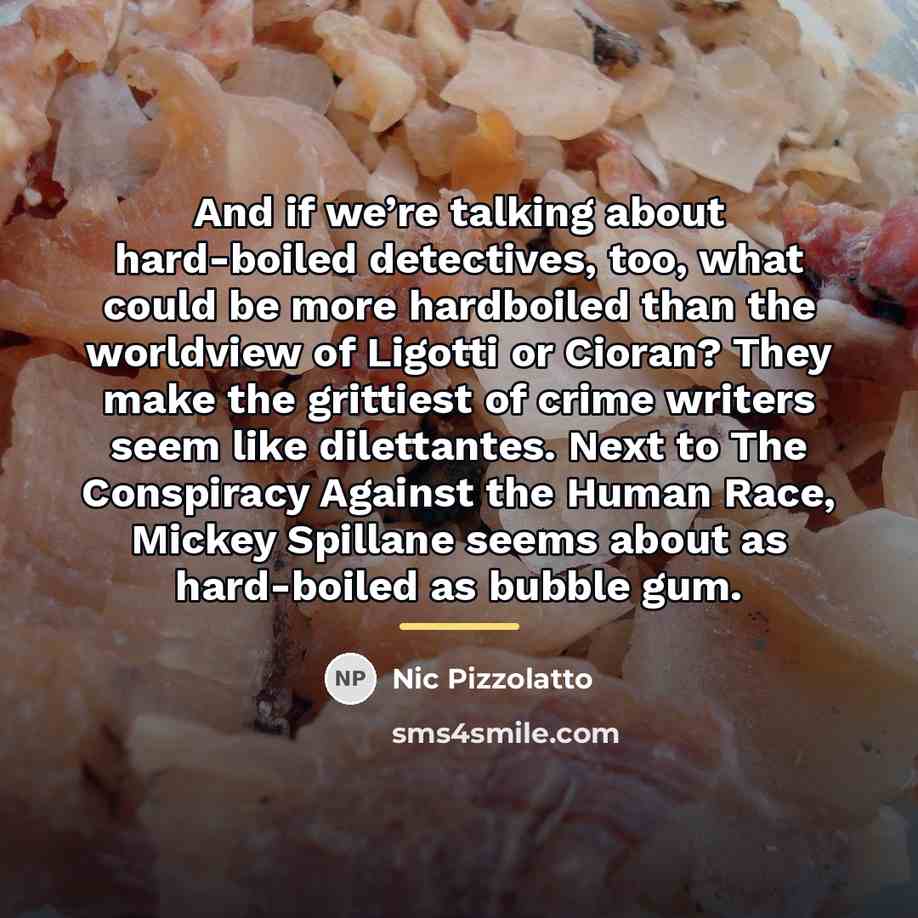 “And if we’re talking about hard-boiled detectives, too, what could…” quote by Nic Pizzolatto
